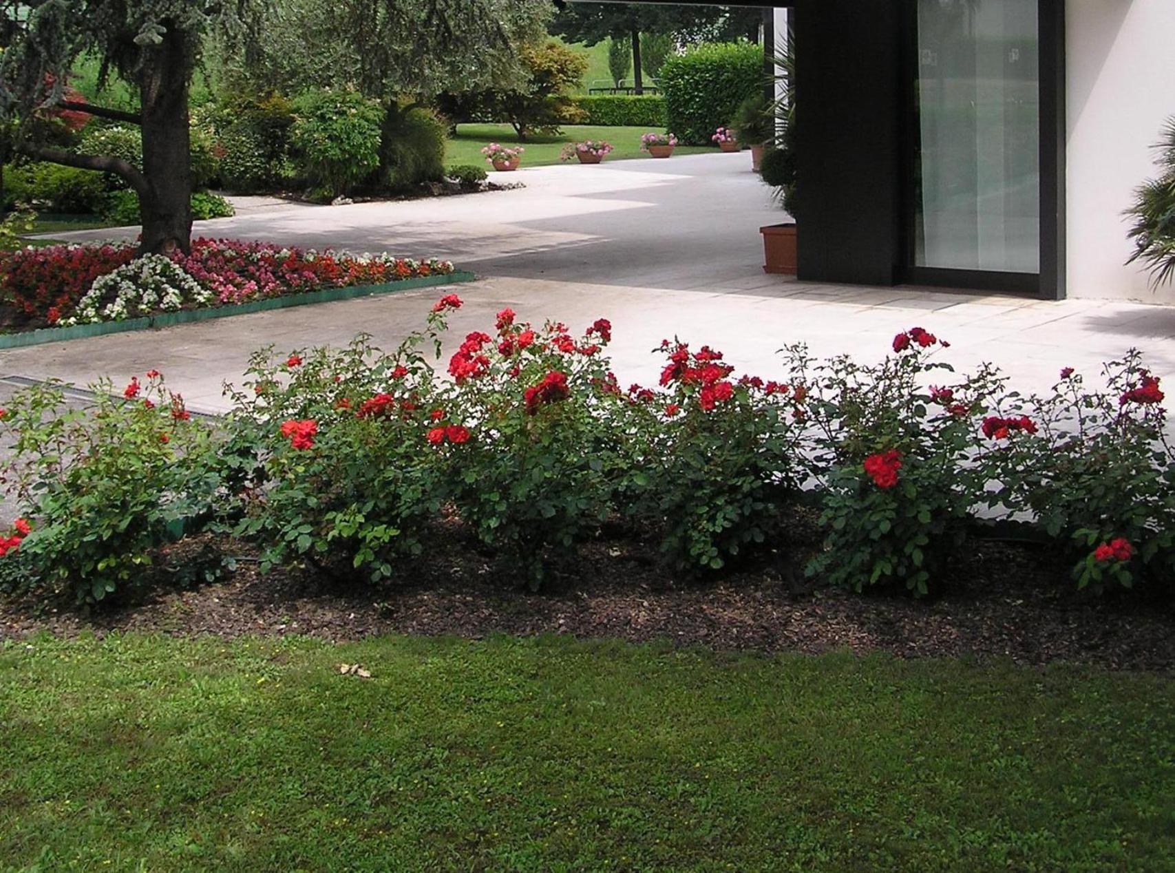 Hotel Giovanni Padova Exterior photo